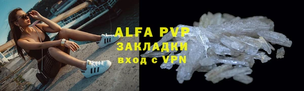 мяу мяу мука Баксан