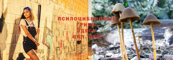 винт Балахна