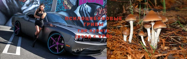 винт Балахна