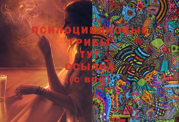 мяу мяу мука Баксан