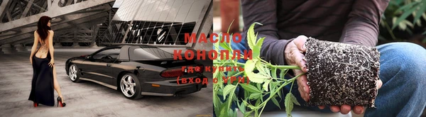 мяу мяу мука Баксан